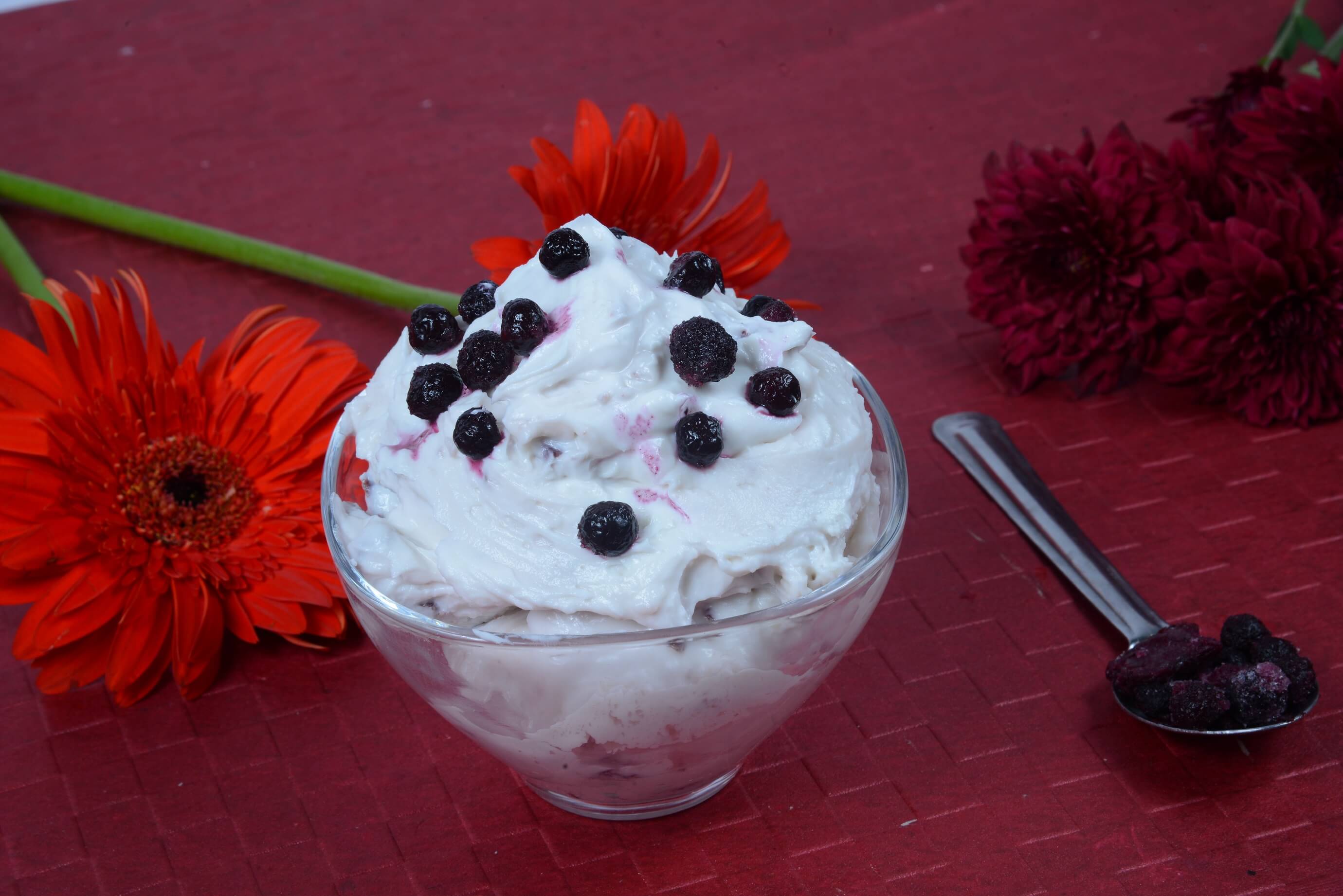 MEGHMILAN DAIRY PRODUCT - Blueberry Shrikhand